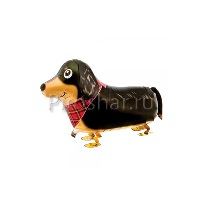 Ходячий шар "Такса"